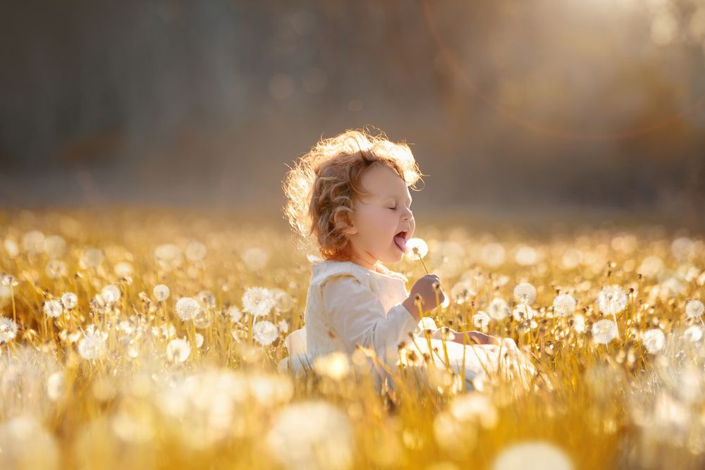 Photograph by Надежда Заручевская