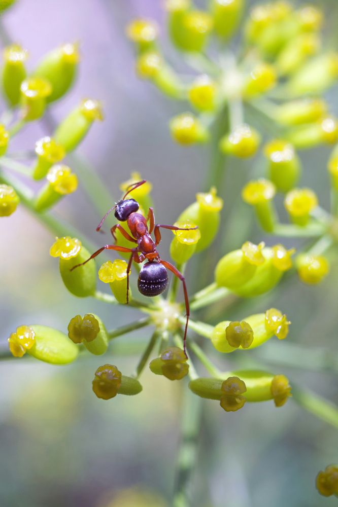 Photograph by Юлия Гаранина