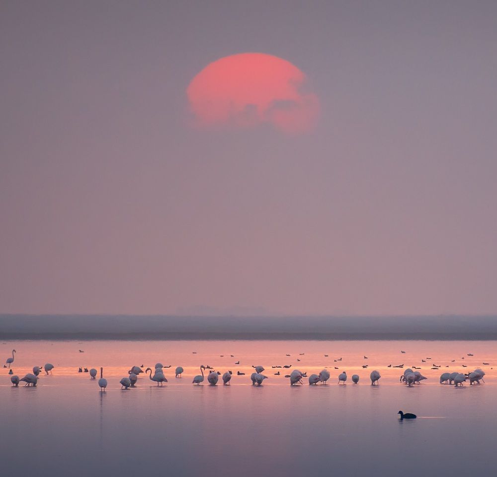 Photograph by Elham Khanpour