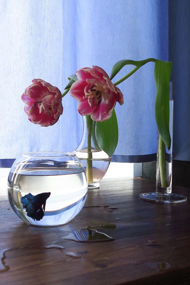 Photograph by Ольга Фагерроз