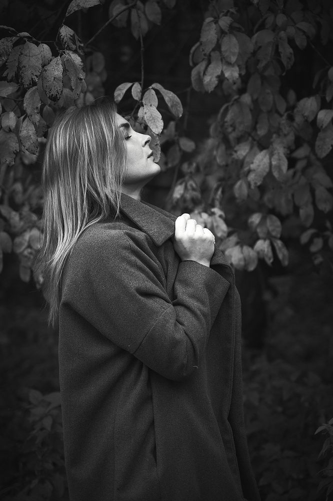 Фотография автора Александр Османов