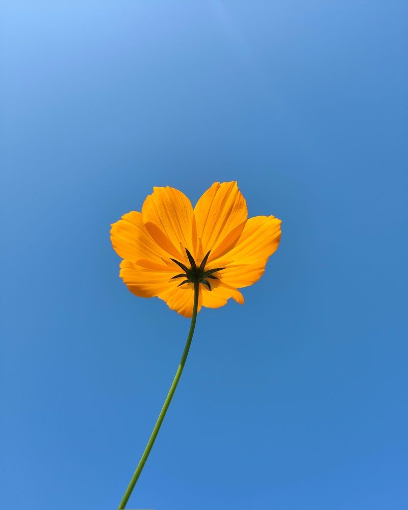 Photograph by PRATHAMESH PATIL