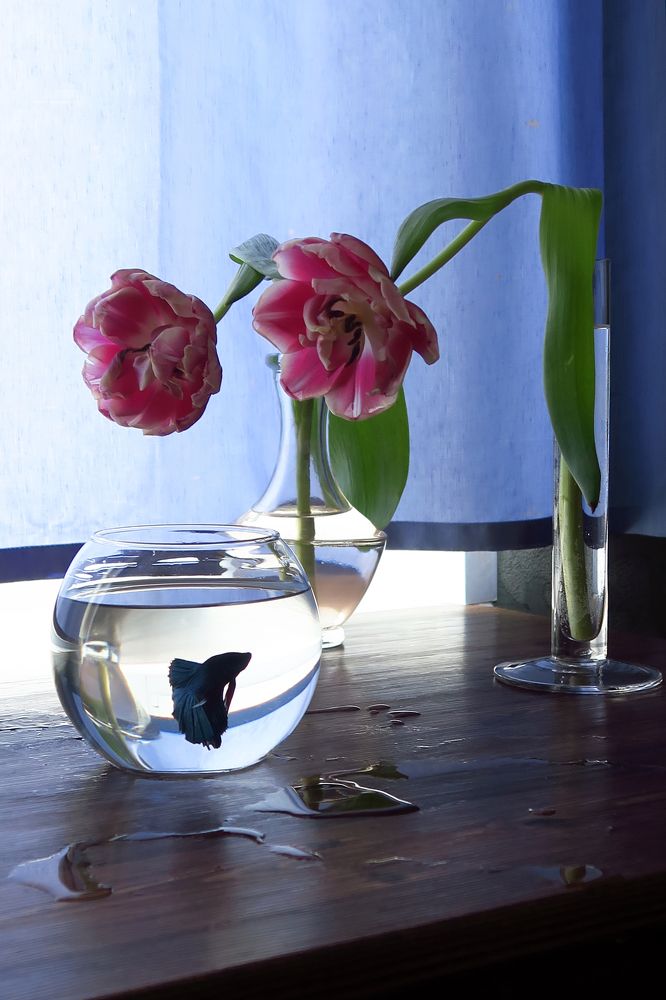 Photograph by Ольга Фагерроз