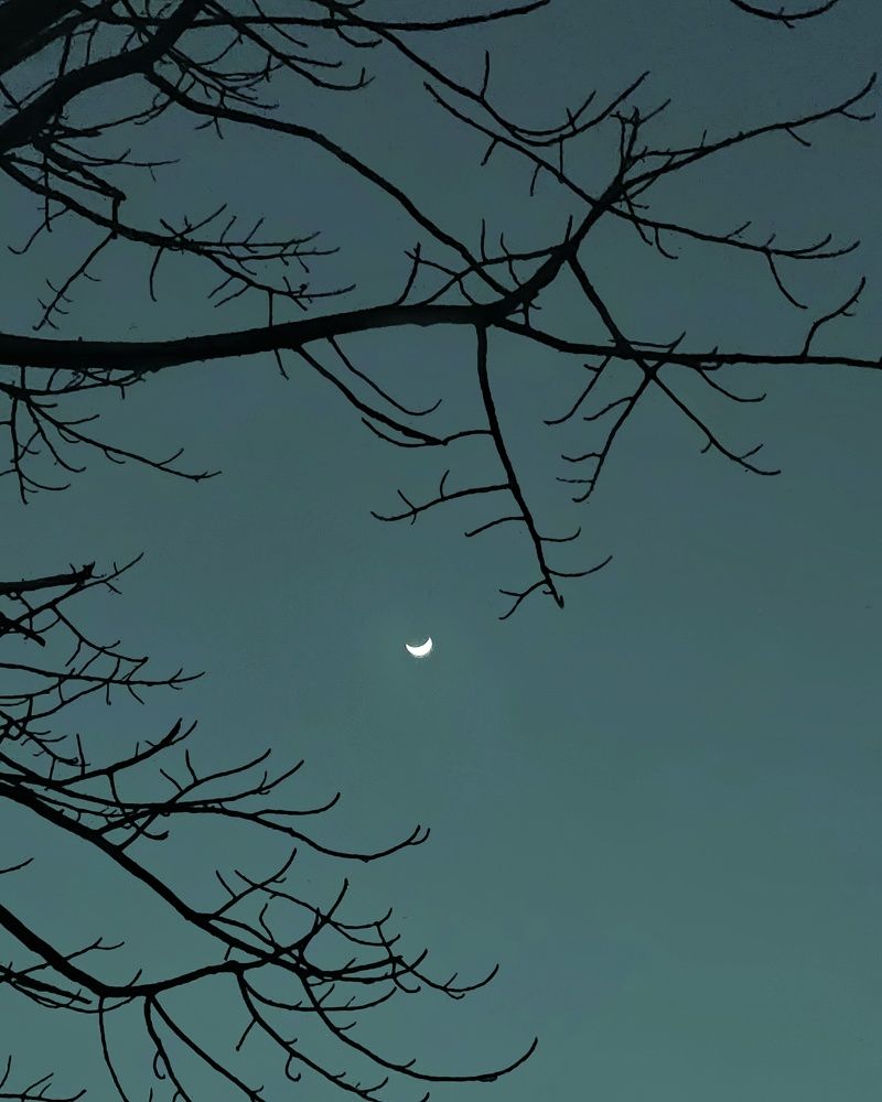 Photograph by PRATHAMESH PATIL