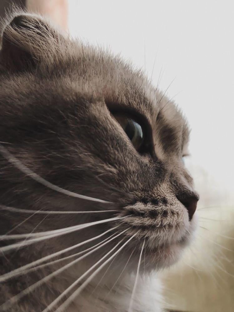 Photograph by Светлана