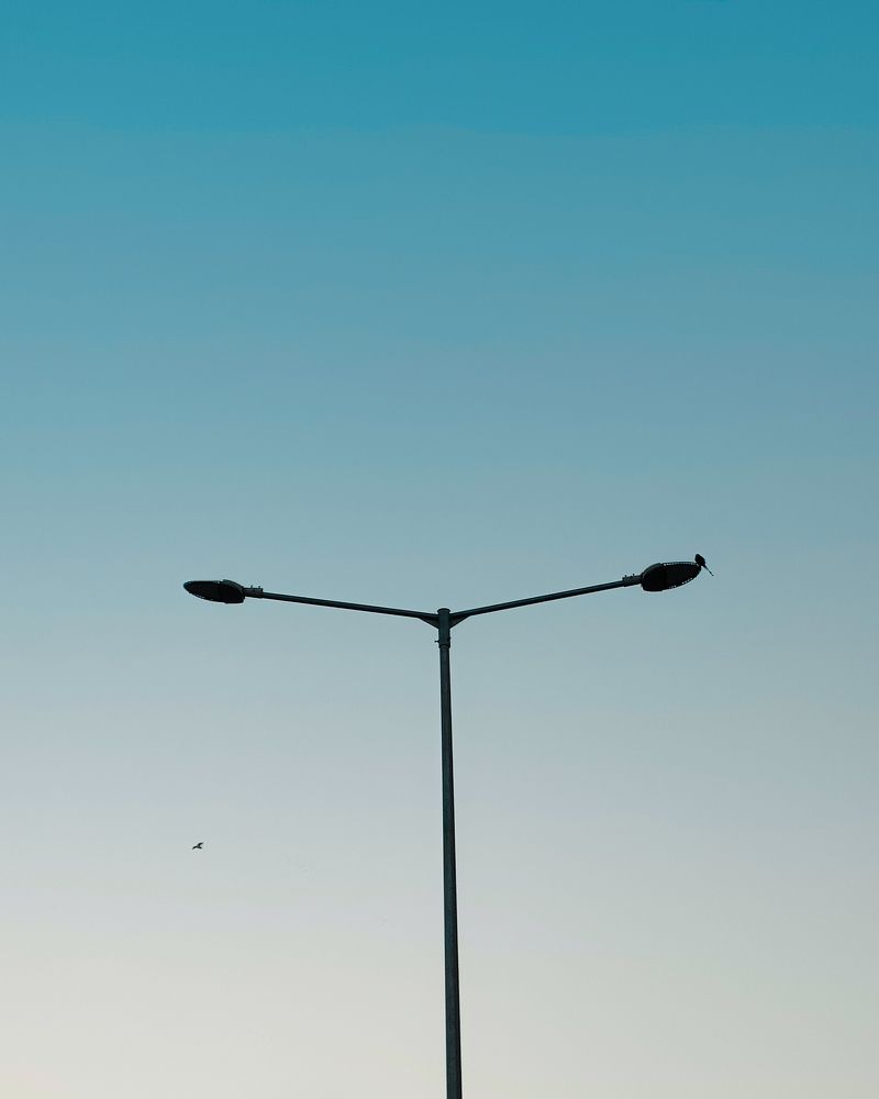 Photograph by PRATHAMESH PATIL