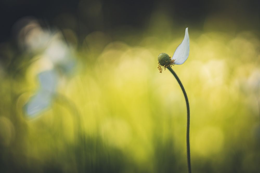 Photograph by Юрий