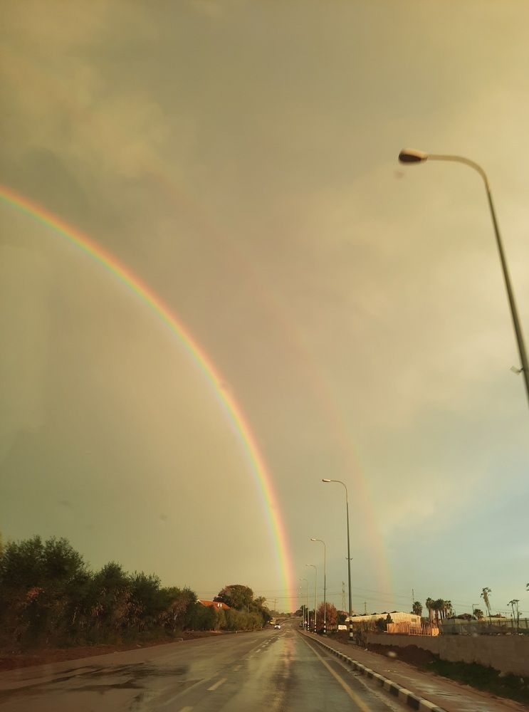 Фотография автора Tetiana Danylenko