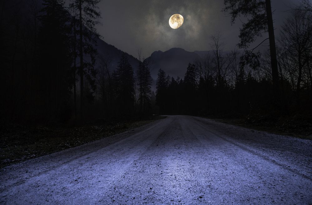 Photograph by Gerard Ngo