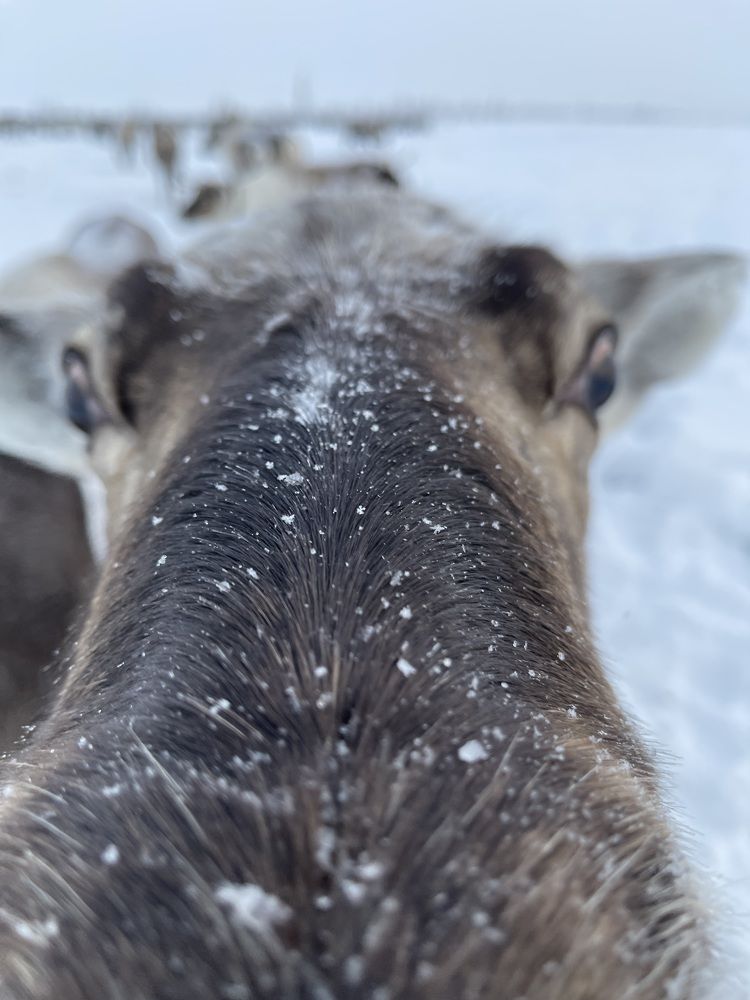 Photograph by Никита Ковалёв