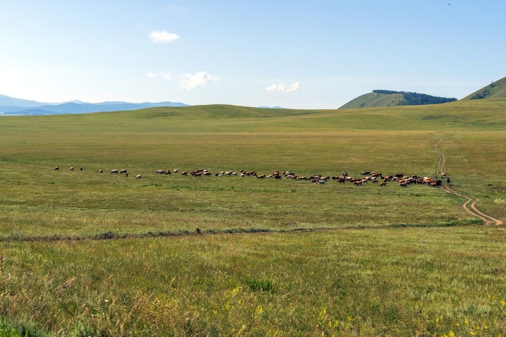 Photograph by Юрий Тимофеев