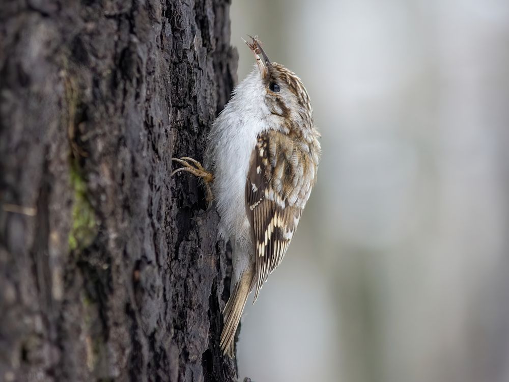 Photograph by Лавренюк Илья