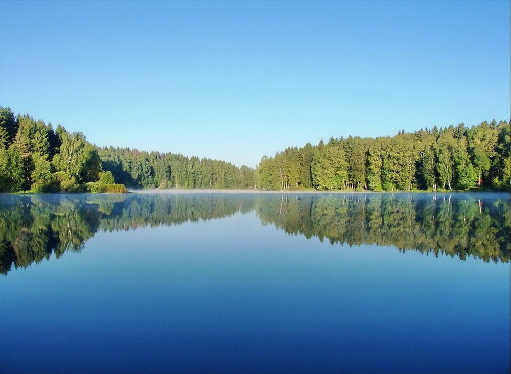 Photograph by Игорь Меньшенин