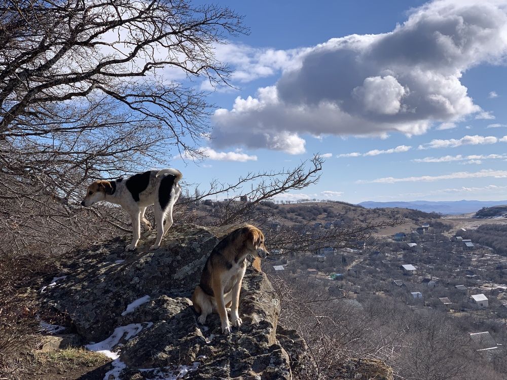 Photograph by David Gharibashvili