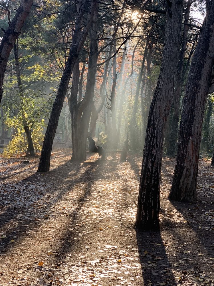 Photograph by David Gharibashvili