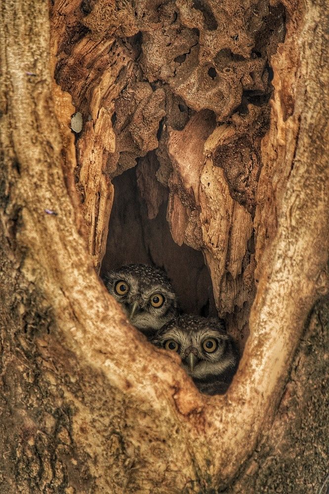 Photograph by Vasanth Pathmanathan