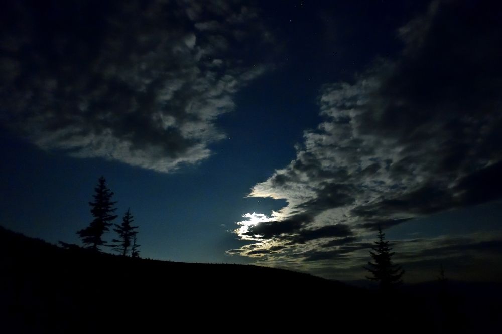 Photograph by Юрий Тимофеев