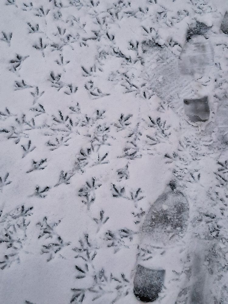 Photograph by Нурия Акимова