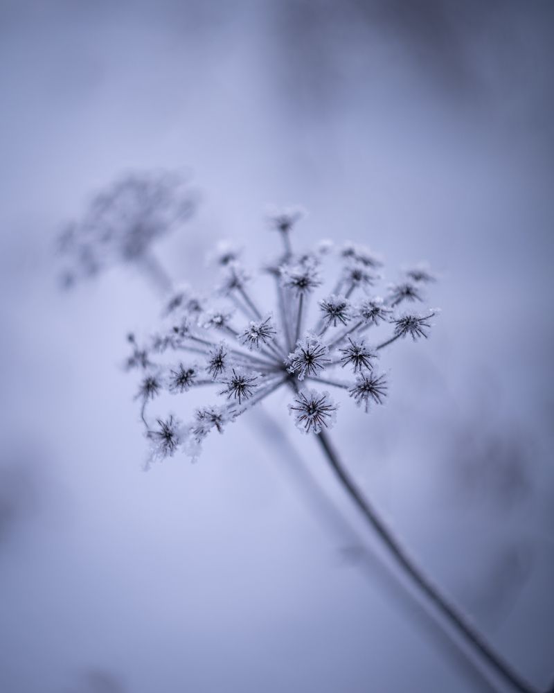 Photograph by Михаил Магазеев