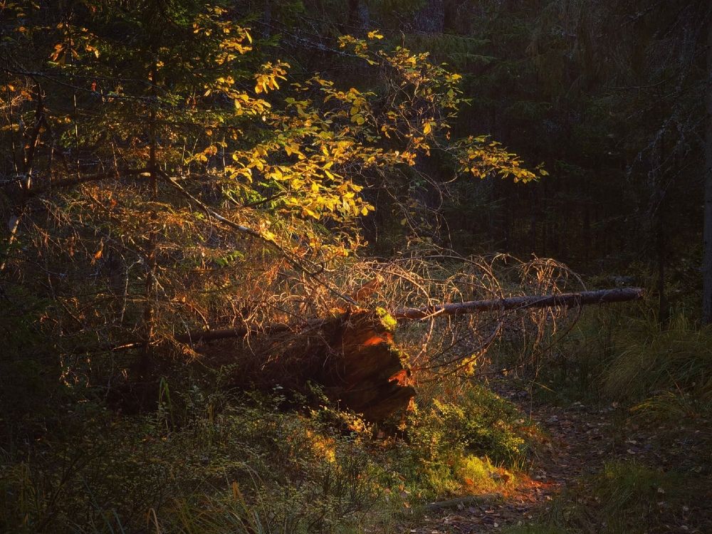 Photograph by Ирина Иванова