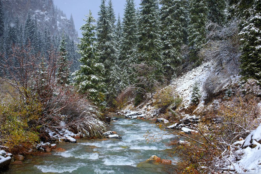 Фотография автора Татьяна Меньшикова