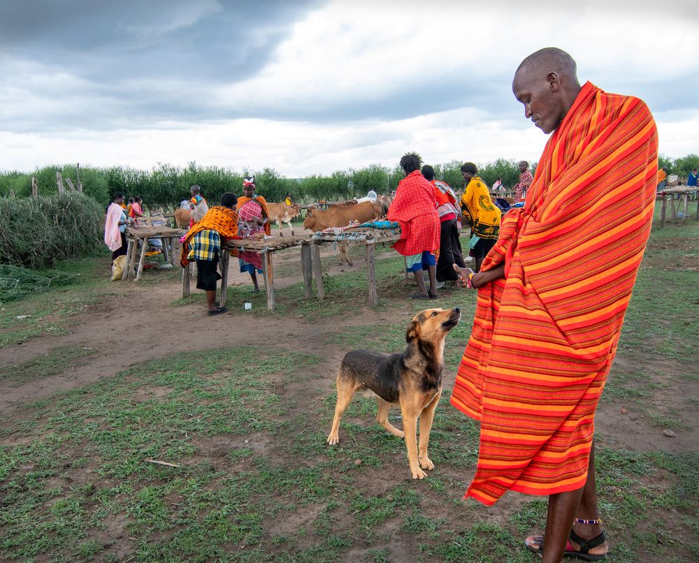 Фотография автора Sajeev Krishnan