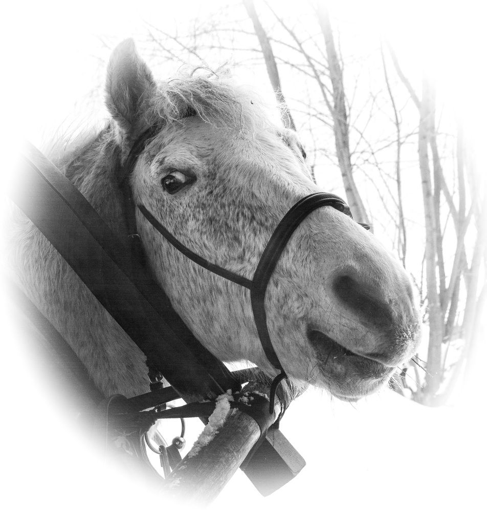 Photograph by Александр Халимов