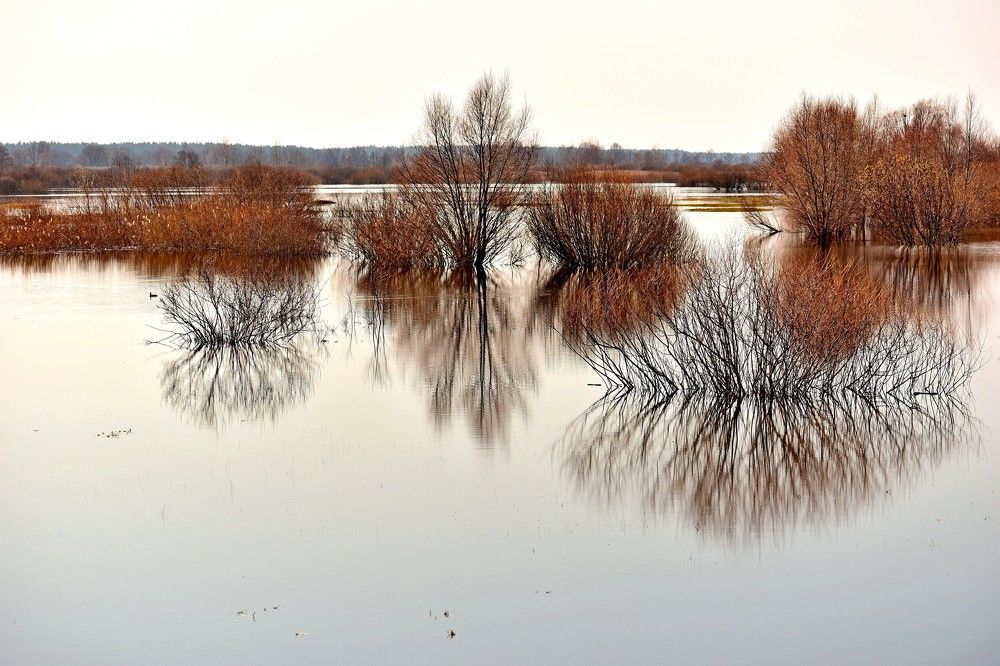 Photograph by Валерий Талейко
