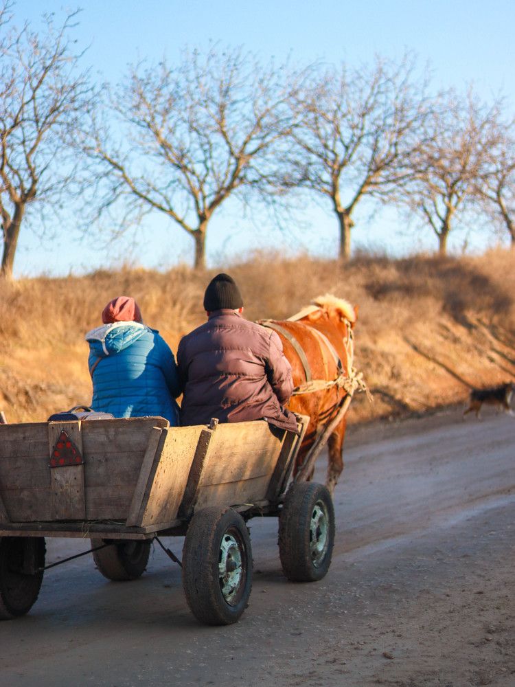 Photograph by Valeria Stepanova