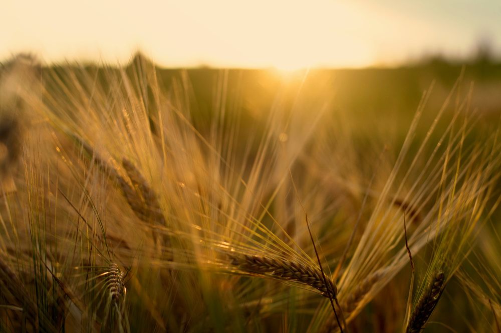 Фотография автора Мария Антонова