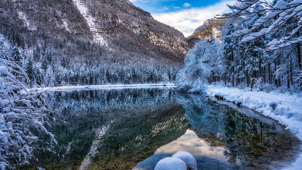 Фотография автора ROMAN Wieckowski