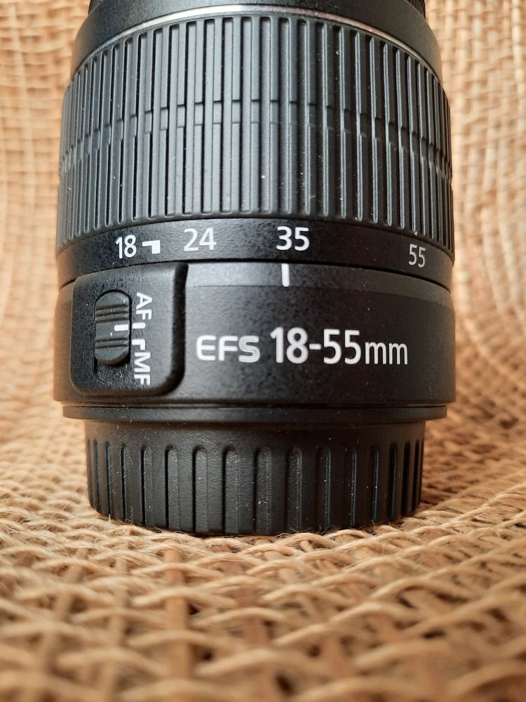 Фотография автора Tetiana Danylenko