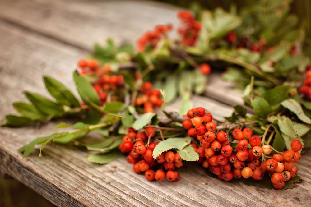 Фотография автора Мария Антонова