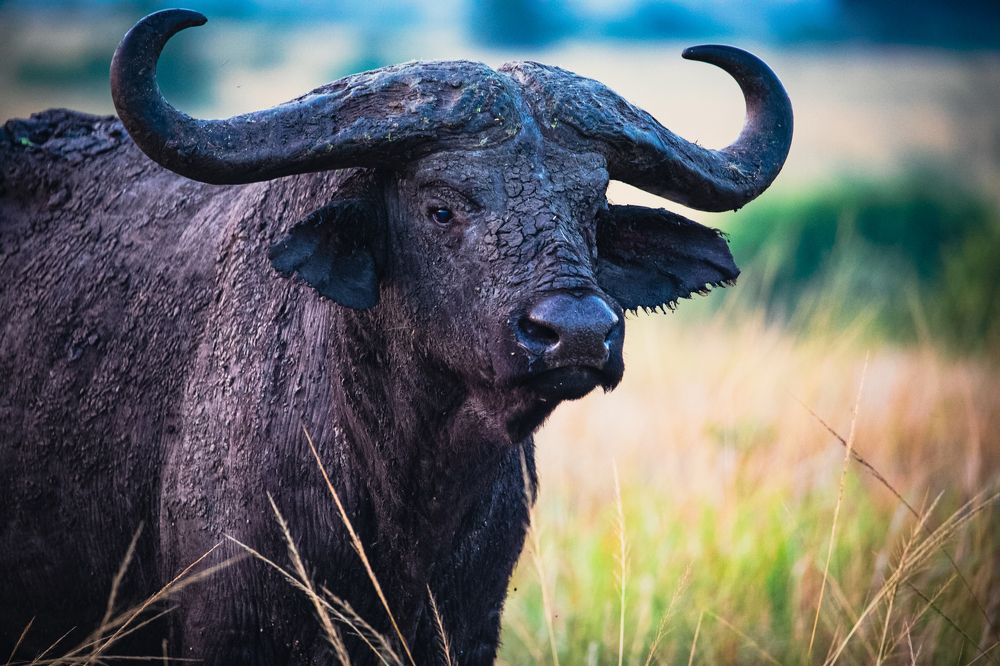 Photograph by Vita Potomova