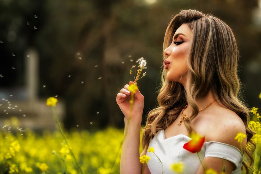 Фотография автора Ibrahim Jalal