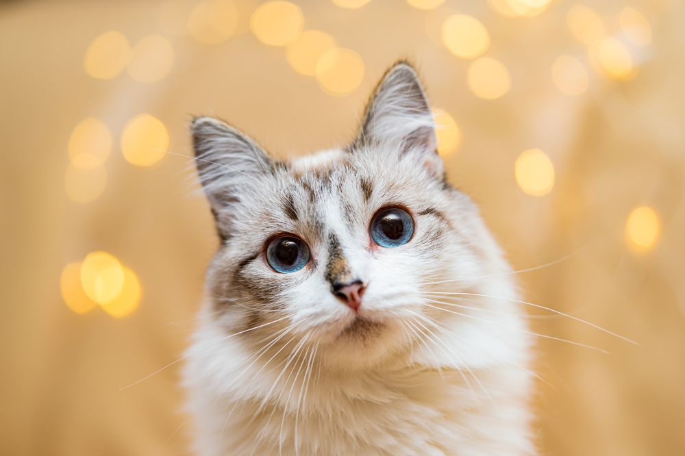 Photograph by Денис Дроздов