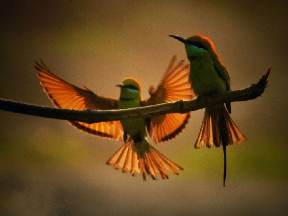 Photograph by Sameer Das