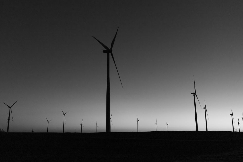 Photograph by Tanja Bažalac