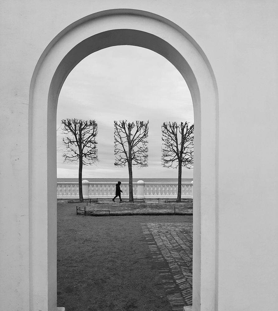 Photograph by Ольга Виноградова