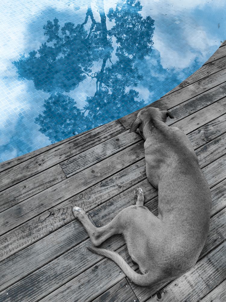 Photograph by Demetrio Jereissati