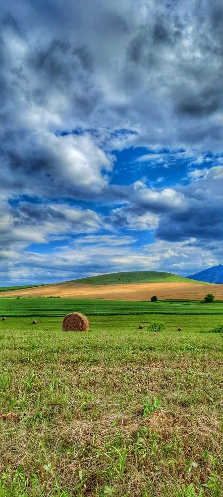 Photograph by Анна