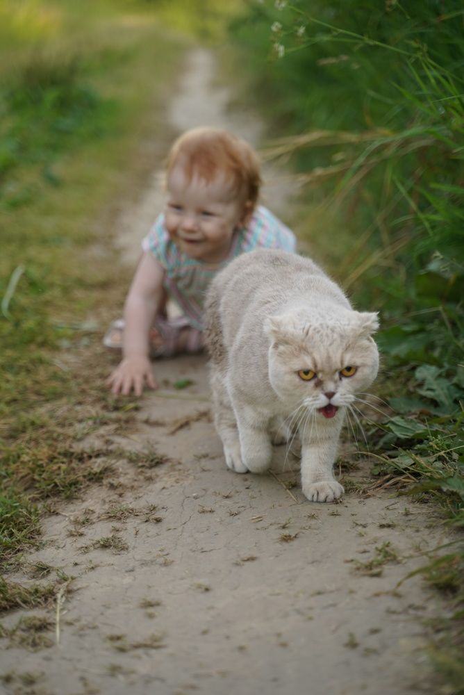 Photograph by Ольга Соколова