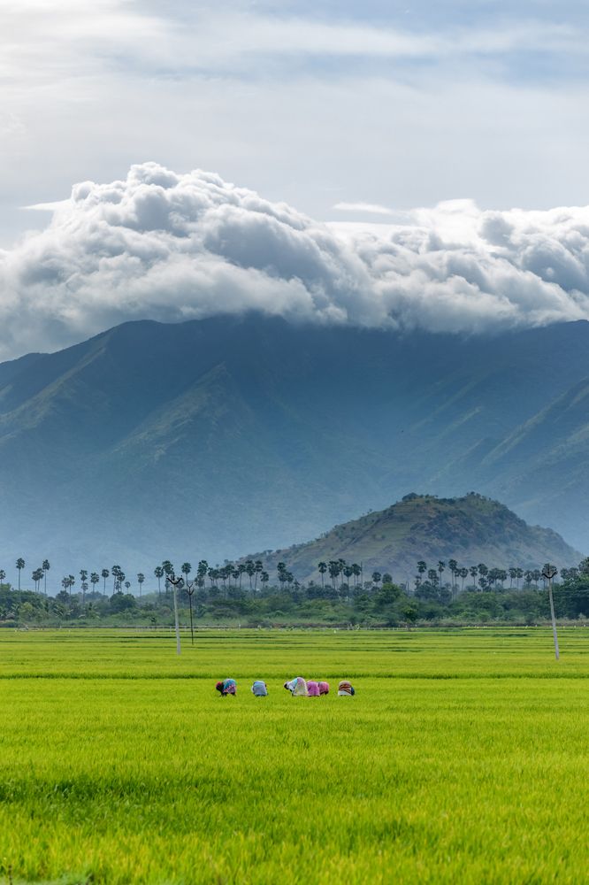 This is my happy place