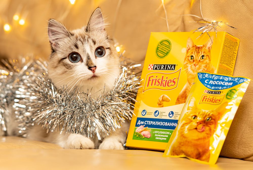 Photograph by Денис Дроздов