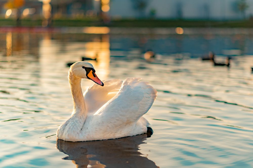 Photograph by Svetlana Soboleva