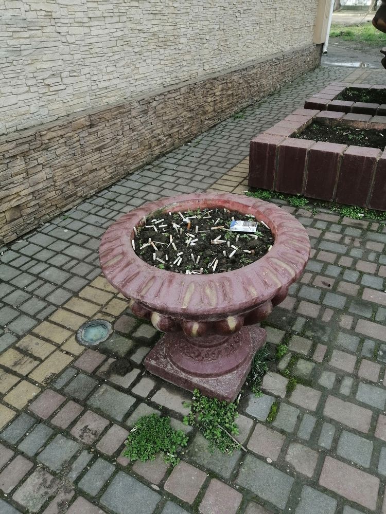 Photograph by Светлана