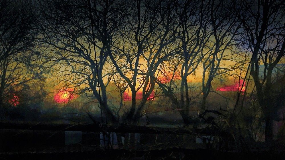 Photograph by Леонид Борисенко