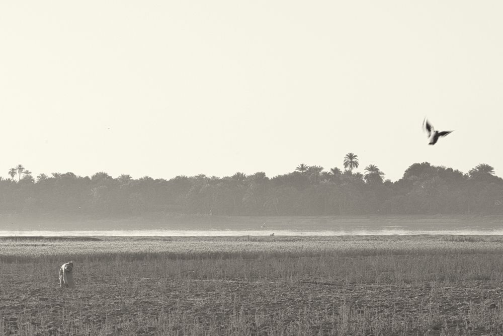 Photograph by Demetrio Jereissati