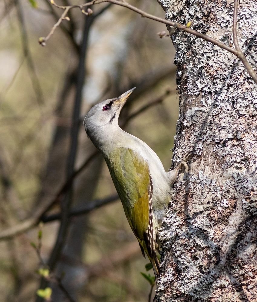 Photograph by Павел Краснослободцев