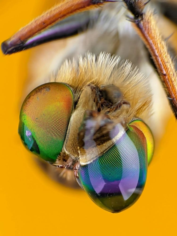 Photograph by Nazer Noor Phonegraphy